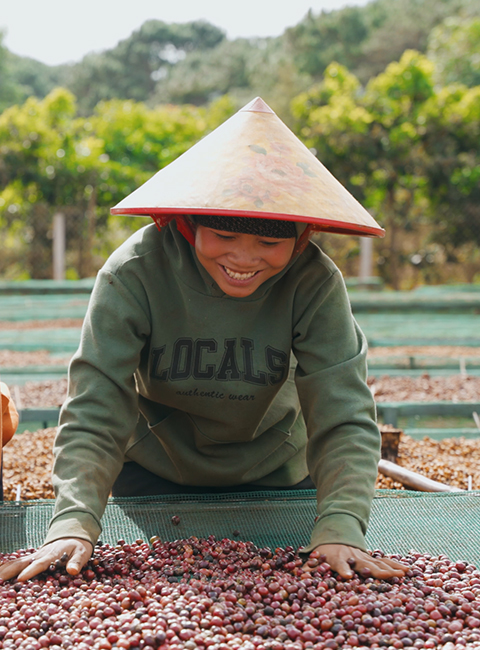 THAM QUAN QUY TRÌNH TRỒNG VÀ THU HOẠCH CÀ PHÊ CỦA CHÚNG TÔI